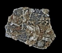 /album/galerie-photos/cirque-d-aneou-p1-quartz-11300-mod3-jpg1/